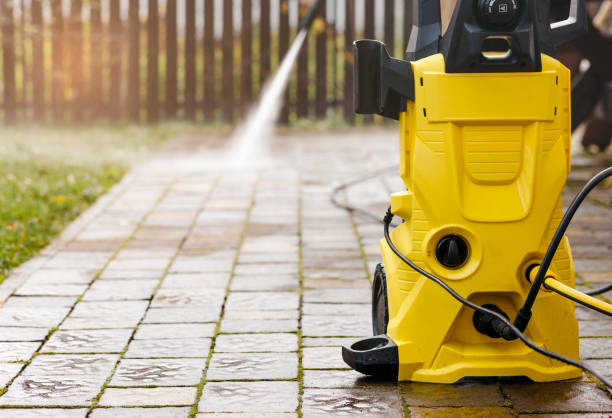 Animal Enclosure Cleaning in Langley, SC